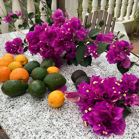 Golondrinas, Authentic Cortijo In The Hills Of Almunecar